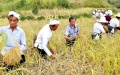 Chinese farmers. Photo by Xinhua.
