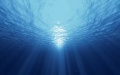 WWF calls for global treaty to protect high seas. Photo by Xinhua.