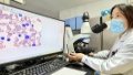 A lab examiner checks the results made by an artificial intelligence (AI) model for blood cell testing at Xinqiao Hospital under the Army Medical University in southwest China's Chongqing. Photo by Xinqiao Hospital/Handout via Xinhua.