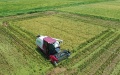 An unmanned harvester working in Jiangxiang Township, Nanchang County of east China's Jiangxi Province. Photo by Xinhua/Wan Xiang.
