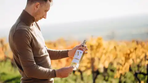Wines of Ukraine на ProWein 2023: новий старт