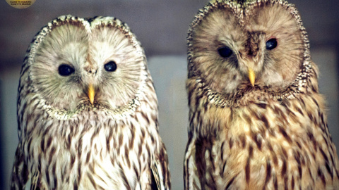 Фото: www.facebook.com/zoo.kyiv.ua