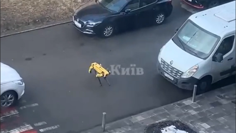 В Києві помітили робота-собаку від Boston Dynamics. Захоплююче відео його прогулянки