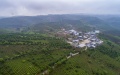The afforestation project in a tea garden in Dadugang Township of Jinghong City, Xishuangbanna Dai Autonomous Prefecture, southwest China's Yunnan Province. Photo by Xinhua/Chen Xinbo.