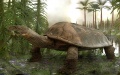 Researchers discover possible turtle swim track from late Triassic. Photo by Xinhua.