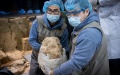 Archaeologists displayed a fossilized skull unearthed from a Paleolithic period site in Shiyan, central China's Hubei Province. Photo by Xinhua.