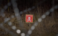 Occupiers mine previously cleared sections of the front in Zaporizhzhia – ISW