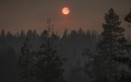 An area hit by a wildfire in Mariposa County in central California, the United States. Photo by Li Jianguo/Xinhua.