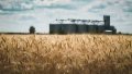 Banks issue loans to agrarians for UAH 8.6 billion since year beginning