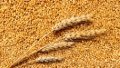 Lithuanian farmers claim they have problems with russian grain, not with Ukrainian
