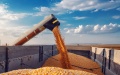 Farmers start sowing winter crops