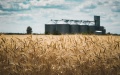 Banks issue loans to agrarians for UAH 64 billion since year beginning