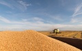 Russians preparing new wave of Ukrainian grain exports from TOT - National Resistance Center