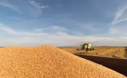 Жнива, врожай. Фото Depositphotos