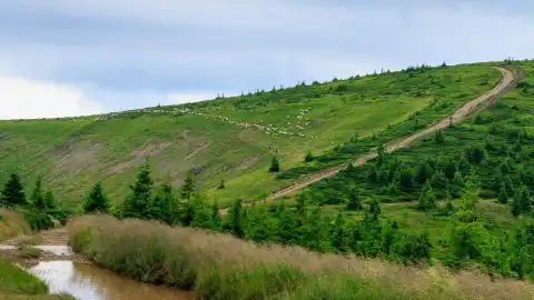 В Свидовці хочуть побудувати гірсько-лижний курорт / фото УНІАН (Янош Немеш)