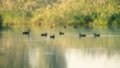 China sees better ecological, environmental quality. Photo by Xinhua.