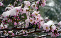 Stormy winds, rains and even snow: forecasters warn of sharp weather "coup" before Easter