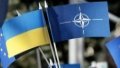 NATO summit will discuss issues of Ukraine's long-term security - White House