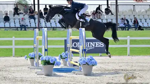 The first stage of the Nations Cup series in show jumping: Ukraine advances to the semifinals