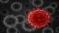 US reports on origin of Covid-19 - source revealed to be laboratory research and leaks