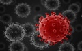 US reports on origin of Covid-19 - source revealed to be laboratory research and leaks
