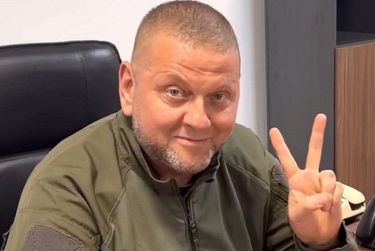 Валерій Залужний. Скріншот відео