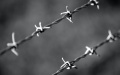 Russians sell Ukrainian prisoners of war to Kadyrov troopers – ISW