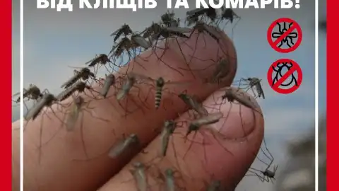 "Украинская команда" срочно собирает на спреи от комаров для защитников