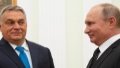 Hungary may support sanctions against russia following example of US