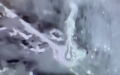 Freedom of Russia Legion Destroys Russian Tanks Near Shebekino Checkpoint In Belgorod Region
