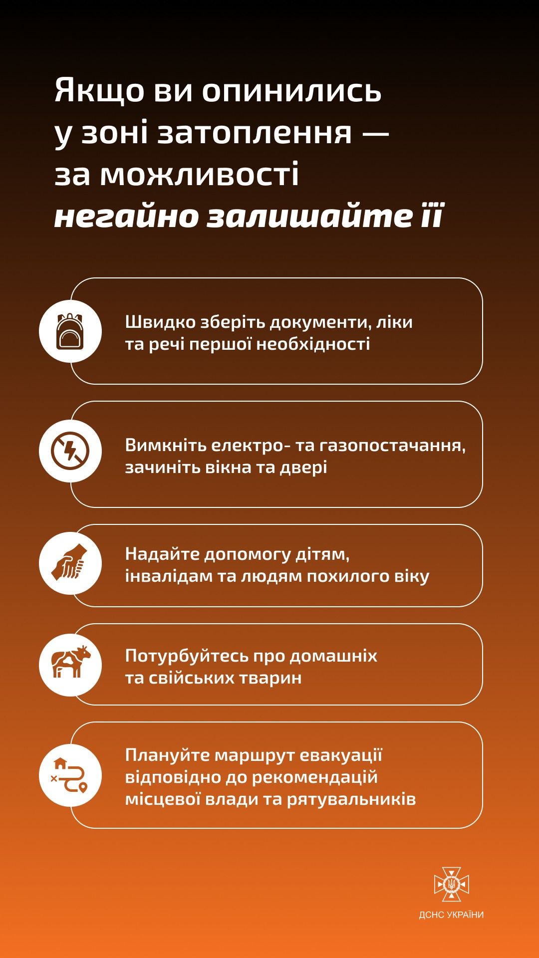 Інфографіка: ДСНС