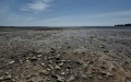 Kakhovka Reservoir Has Already Lost 70% Of Its Water - Environmental Protection Ministry