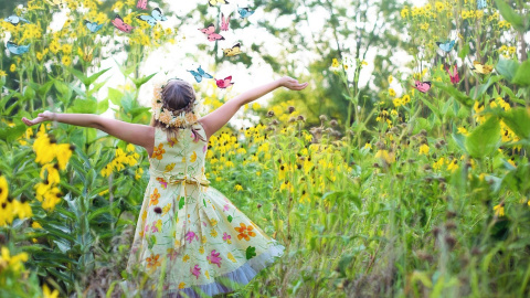 Літо. Фото: pixabay