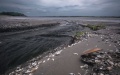 Cabinet proposes Rada prohibit transfer to ownership and use of lands of Kakhovka Reservoir