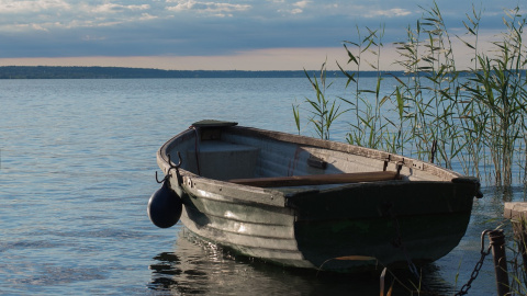 Літо. Фото: pixabay