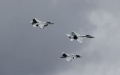 Europe privately warns Russia that NATO is ready to shoot down russian planes — Bloomberg