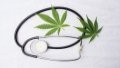 Rada supports law on medical cannabis legalization