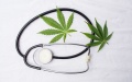 Darnitsa has a discreet attitude to medical products based on cannabis