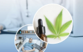 Legal circulation of medical marijuana will start in Ukraine on August 14