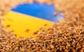 Ukraine ups grain exports by 67.7% to 1.5 million tons since 2024/2025MY start