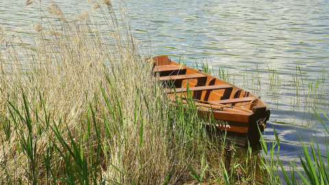 Водойма. Фото: pixabay