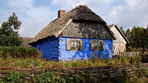 Літо. Фото: pixabay