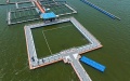 China to accelerate development of deep-sea, far-sea mariculture. Photo by Xinhua.