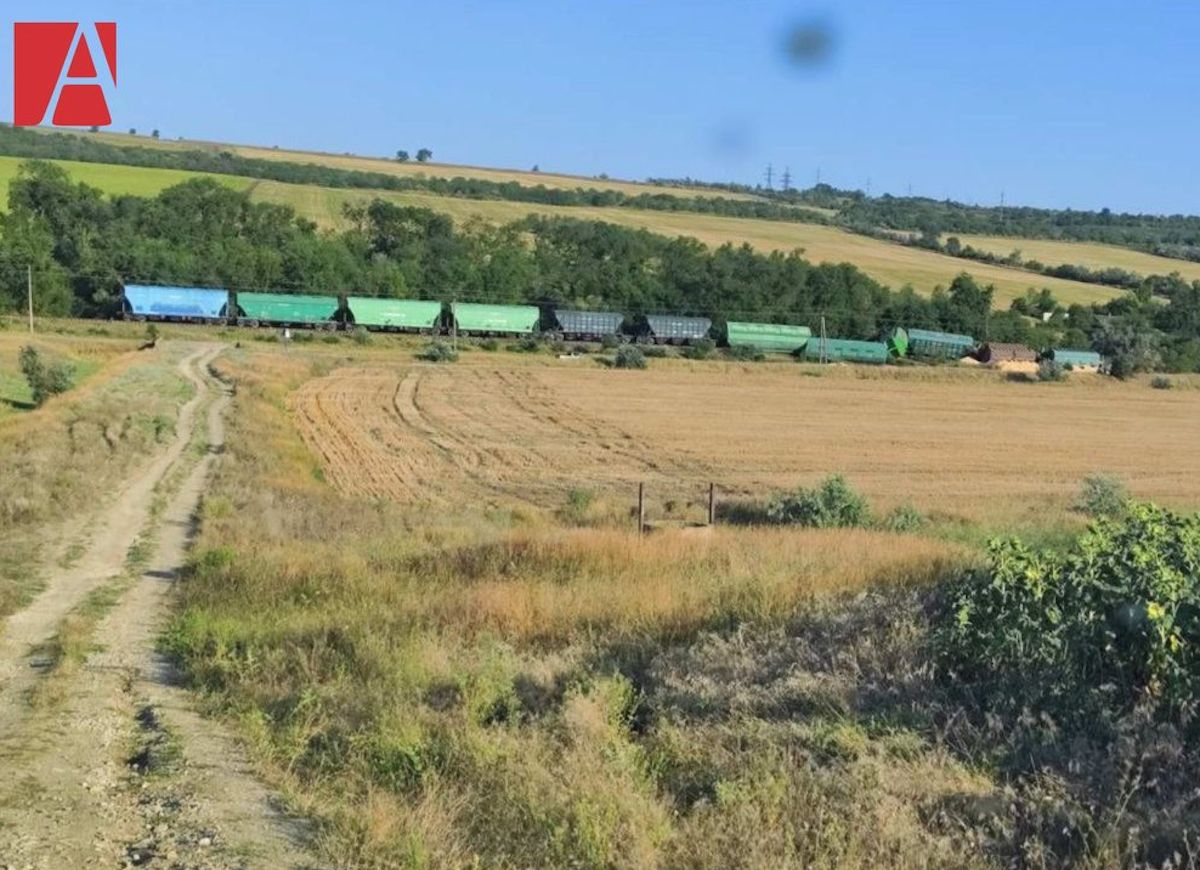 У Молдові з рейок зійшов поїзд, що перевозив українське зерно. Фото: agora.md