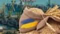 Ukraine announces temporary corridors for merchant ships going to and from its ports
