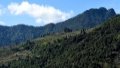 The scenery of the national nature reserve in Wuliang Mountain in Jingdong County, southwest China's Yunnan Province. Photo by Xinhua/Lin Yiguang.