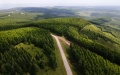 The scenery of Saihanba forest farm in north China's Hebei Province. Photo by Xinhua/Jin Haoyuan.