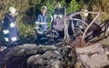 12 people, including children, killed in one passenger car. A truck "crushed" a car in Vinnytsia Region
