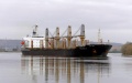 75 million tons of cargo exported through Ukrainian sea corridor