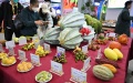 Visitors view tropical fruits at the China (Hainan) International Tropical Agricultural Products Winter Trade Fair in Haikou, south China's Hainan Province. Photo by Xinhua/Guo Cheng.

